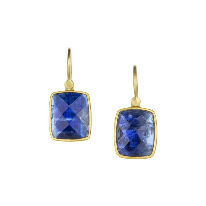 Lola Brooks Earrings Kyanite Chiclet Drop Earrings