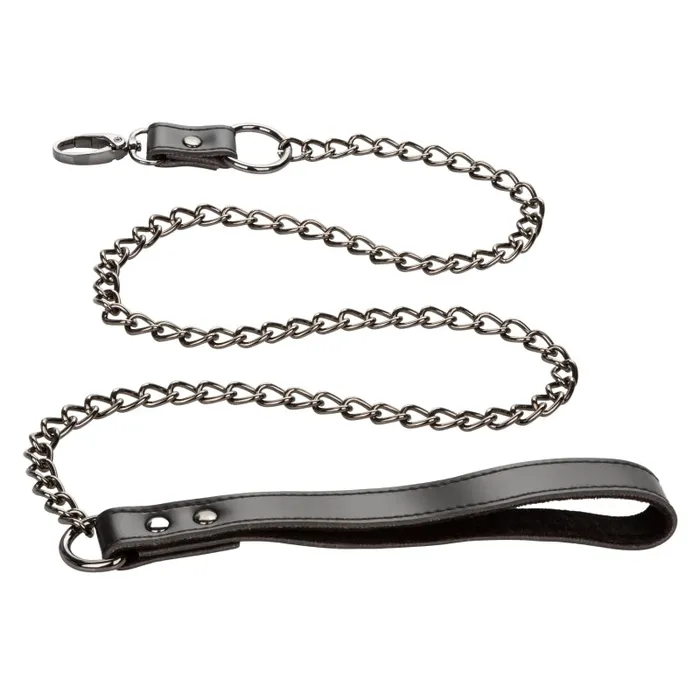 Calexotics Anal | Euphoria Collection Collar With Chain Leash - Black Calexotics Anal | Euphoria Collection Collar With Chain Leash - Black