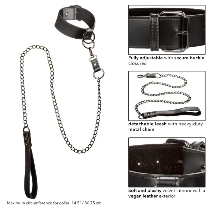 Calexotics Anal | Euphoria Collection Collar With Chain Leash - Black Calexotics Anal | Euphoria Collection Collar With Chain Leash - Black