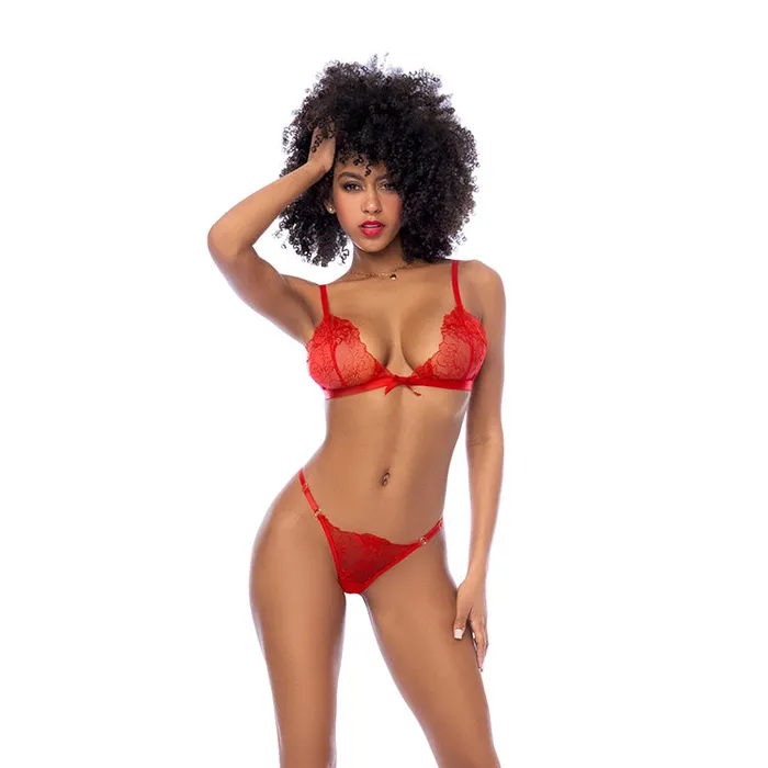 Female Sex Toys Mapale Laurel Embroidered Lace Bra Panty Set