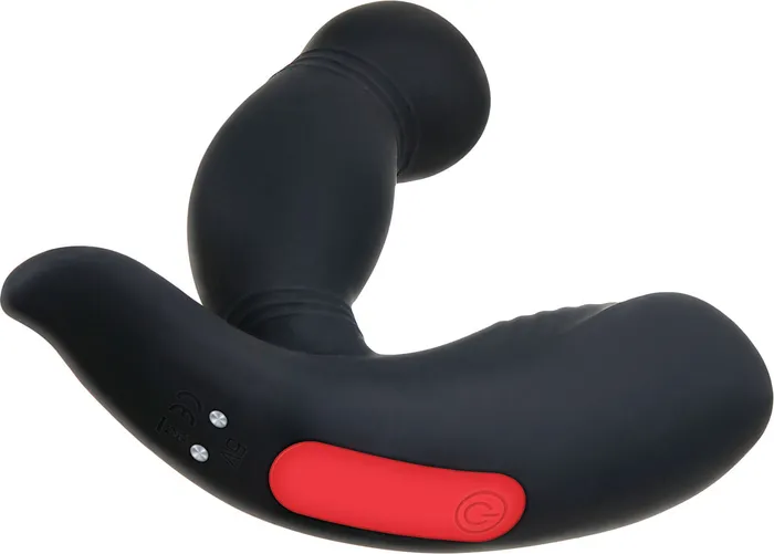 Rechargeable Prostate Massager Wremote Adam and Eve Anal