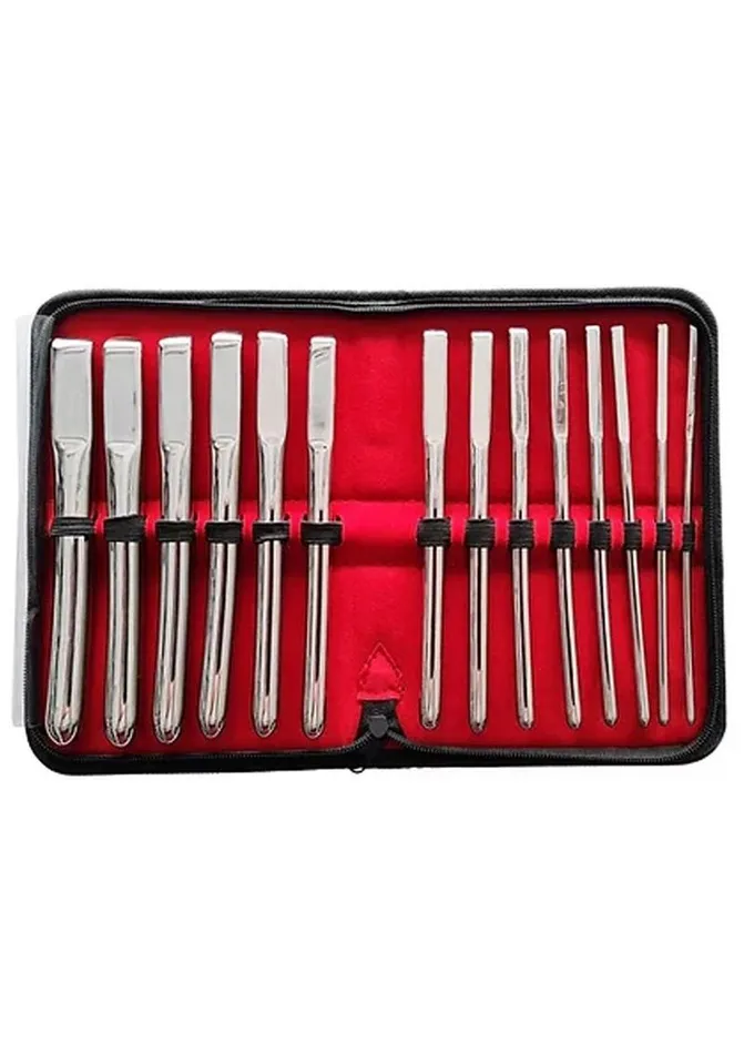 Rouge Rouge Hegar Stainless Steel Uterine Dilator Dildos