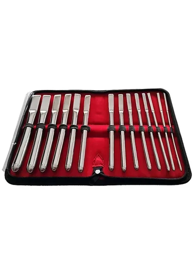 Rouge Rouge Hegar Stainless Steel Uterine Dilator Dildos