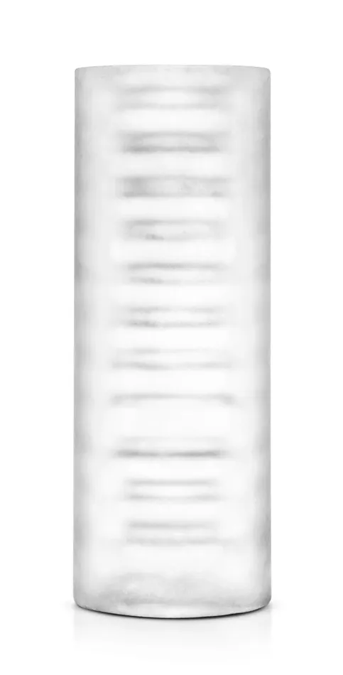 Blush Novelties Female Sex Toys X5 Men Fifi Bag Clear