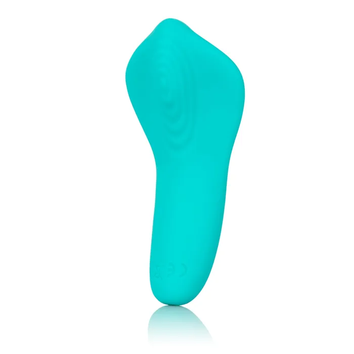 CalExotics Slay Pleaser Vibrators