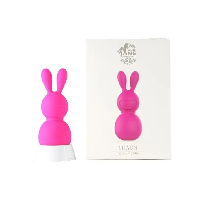 Mini Vibrator Shaun RMT Female Sex Toys