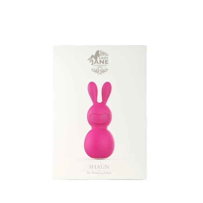 Mini Vibrator Shaun RMT Female Sex Toys