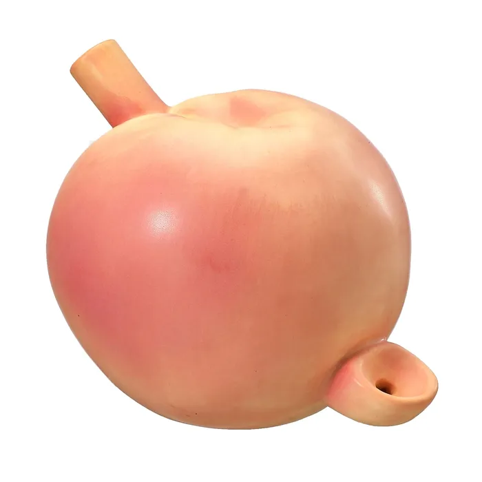 Vibrators Fashioncraft Peach Pipe
