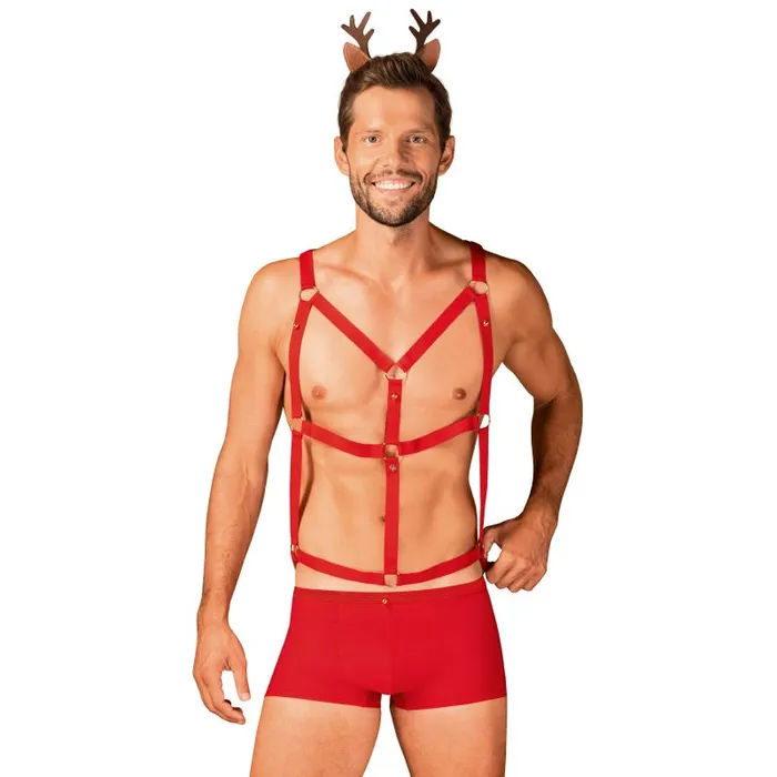 Anal Obsessive Mr Reindy 3 Pc Set
