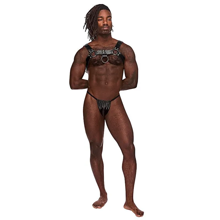 Male Power Female Sex Toys Aries Leather Chest Harness