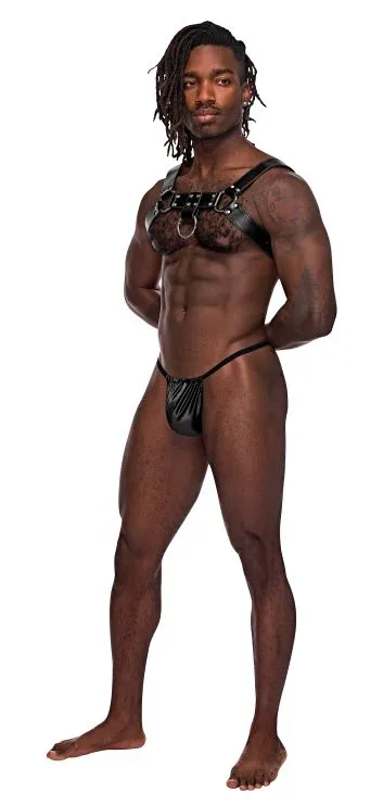 Male Power Female Sex Toys Aries Leather Chest Harness