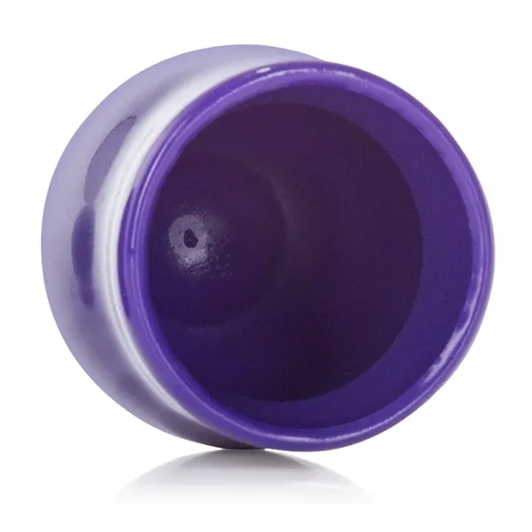 Nipple Play Mini Nipple Suckers Purple California Exotic Novelties Vibrators