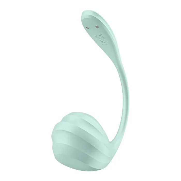 Satisfyer Satisfyer Smooth Petal Mint Vibrators